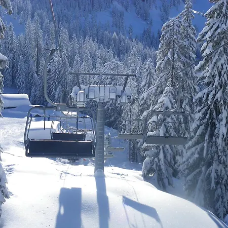 Haus Auni Metzgermeister *